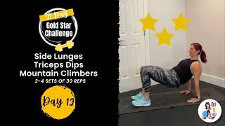 21-Day Gold Star Challenge ~ Day #12 Workout ~ Side Lunges ~ Triceps Dips ~ Mountain Climbers