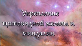 Укрепление щитовидной железы и миндалин