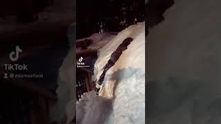 Jumping in snow challenge #tiktok #shorts #subscribe #youtubeshorts #viral