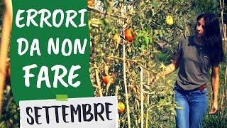 ORTO a SETTEMBRE: 5 errori da non fare