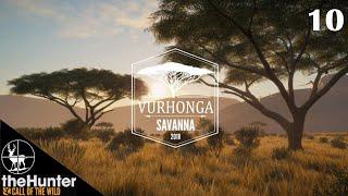 (EP10) Observe & Report | Vurhonga Savanna | theHunter Call of the Wild