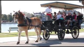 Visit City of Charleston South Carolina | "The Holy City" | CityOf.com/Charleston