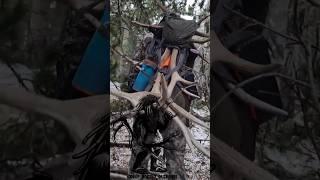 Raining Elk Sheds