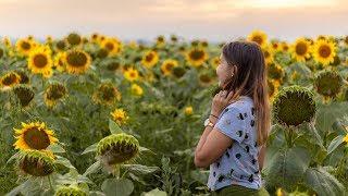 DOBROGEA - The Incredible Beauty of Romania