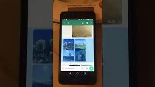 Как переслать фотографии которые тебе отправили на whatsapp (вотсап)