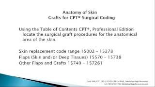 Free Medical Coding Training: Anatomy of Skin Graft Surgical Coding