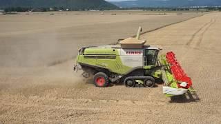 CLAAS LEXION 770 beim Einsatz der Agroprodukt Sonneberg FullHD