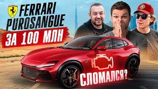 Тестируем НОВЫЙ Ferrari Purosangue! Коллекция Nissan GT-R. Давидыч и Kozloww в Дубае!