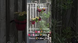 Backyard Garden 🪴 Syndrome  🪴 Squirrel visiting    Flowers  &   More  Ideas