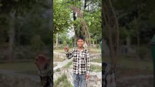 Aman ne chalai bike  #foryou #ytshorts #foryou
