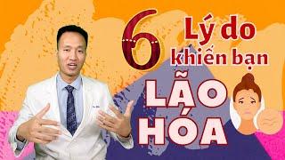 6 LÝ DO KHIẾN DA LÃO HÓA HƠN MỖI NGÀY  | Dr Hiếu