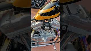 In The Breeze. #chopper #harleydavidson  #harley  #motorcycle #bikelife #biker #music #shorts