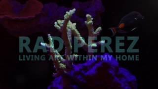 120g Reef Tank Build - Coralust.com - Coral health and coloration