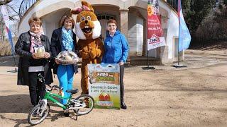 Osteraktion "Finde das GOLDENE EI" startet