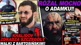 RÓŻAL MOCNO O ADAMKU!!(KHALIDOV,KSW,UFC,MMA,INFO,MATERLA,PUDZIANOWSKI,LEWANDOWSKI,BARTOSIŃSKI)