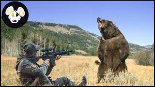 How Do American Hunters And Farmers Deal With Million Of Black Bear And Invasive Species By Guns ?