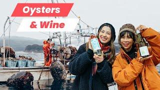 Fresh Oysters and Local Wine! Using Gastronomy to Rebuild Tohoku After the 2011 Tsunami