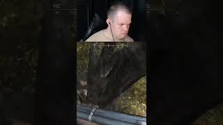 Здарова!  |  #vargatv  #huntshowdown #хантшоудаун