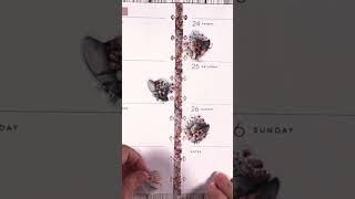 Skinny Classic Spine Decorating #happyplanner #thehappyplanner #weeklyplanner