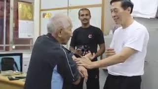 Ip Chun and Samuel Kwok Chi Sao Hong Kong 2014