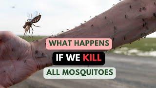 The Impact of Eliminating Mosquitoes: Consequences and Ecosystem Disruption #whatif #mosquito