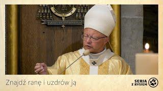 Znajdź ranę i uzdrów ją | kard. Grzegorz Ryś