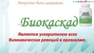 Комплекс ферментов Биокаскад Ускоритель биохимических реакций организма | @Артлайф Artlife Беларусь