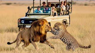 AFRICAN SAFARI 4K | Epic wildlife movie (lions, leopards & elephants)