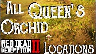 Red Dead Redemption 2 - All 9 Queen's Orchid Locations (Duchesses and Other Animals) Exotics - RDR2