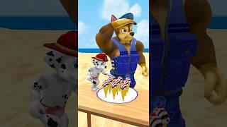 Marshall Steals Chase’s Vanilla Ice Cream Cone #shorts #funny