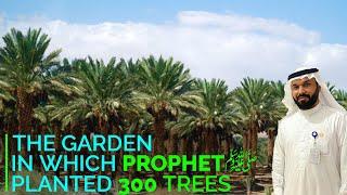 Madina The Garden Of Salman Farsi R A, jahan Nabi S A W Ne 300 Khajoor K darkhat Lagaye