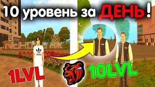 КАК ОЧЕНЬ БЫСТРО ПОДНЯТЬ УРОВЕНЬ на БЛЕК РАША! 10 LvL ЗА ДЕНЬ! - BLACK RUSSIA