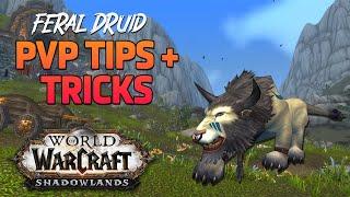 Feral Druid PVP Tips | Shadowlands 9.1.5