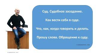 Как вести себя в суде. Что, как, когда говорить и делать в судебном заседании. 2022.10