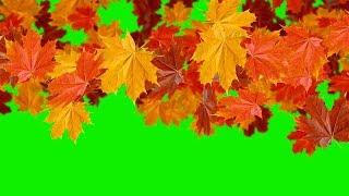 Green Screens : Falling leaves - The Autumn - Transitions