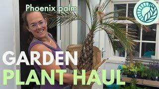 Plant Haul for our new garden! | Yoga and plants with Roos