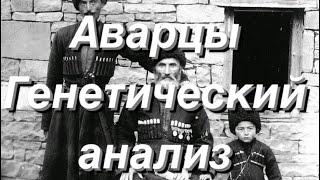 Аварцы - генетический анализ (Аутосомные данные)