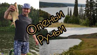 Отдых и рыбалка "Оленьи ручьи"/ г. Михайловск/ с. Аракаево/ Река Серьга