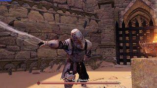 Skyrim: Vigilant Boss with New Animation Test