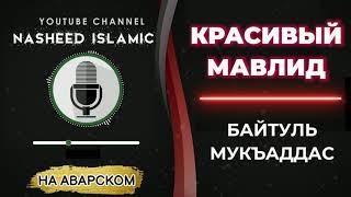 Красивый мавлид / мавлид на аварском языке / nasheed islamic