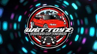 carwash business wet toy'Z carwash