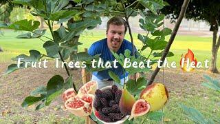 My Favorite Fruit Trees that Beat the Heat and Bear Fruit Within 2 Years