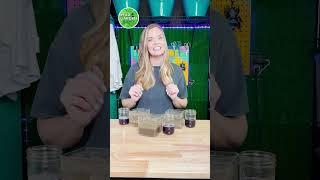Red Cabbage pH Indicator  Soil Sample Experiment #easyexperiment  #scienceexperiment