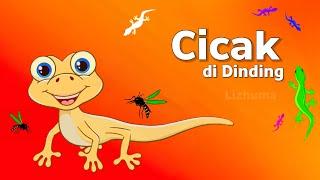 Lagu Anak anak | CICAK CICAK DI DINDING | Cicak di dinding kartun | lagu cicak cicak di dinding