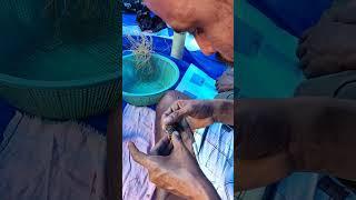 How dokra casting craft prepare figures from wax#shorts #youtubeshorts #short #shortvideo #craft#wax