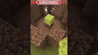 Do You Ever Wonder How Much A Minecraft Sponge Consumes? #shorts