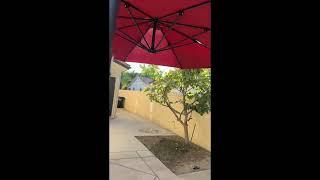 A beautiful and high quality patio umbrella！！！！