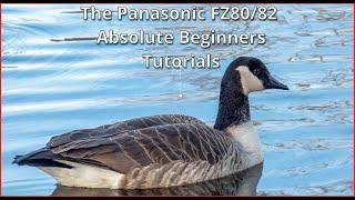 Absolute Beginner's Guide to Panasonic Lumix FZ80/82 Camera: Intro