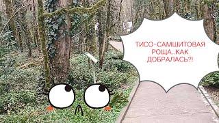 АДЛЕР-ХОСТА. 2 дня ГУЛЯНИЙ! МАГНИТ-Ассортимент. Что КУПИЛА?!