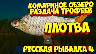 русская рыбалка 4 - трофейная Плотва озеро Комариное - рр4 фарм Алексей Майоров russian fishing 4